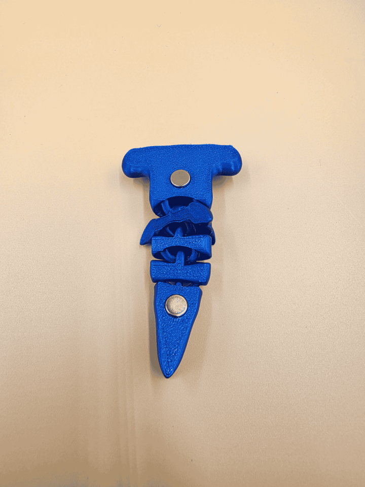 Çekiç Başlı Köpek Balığı Magnet