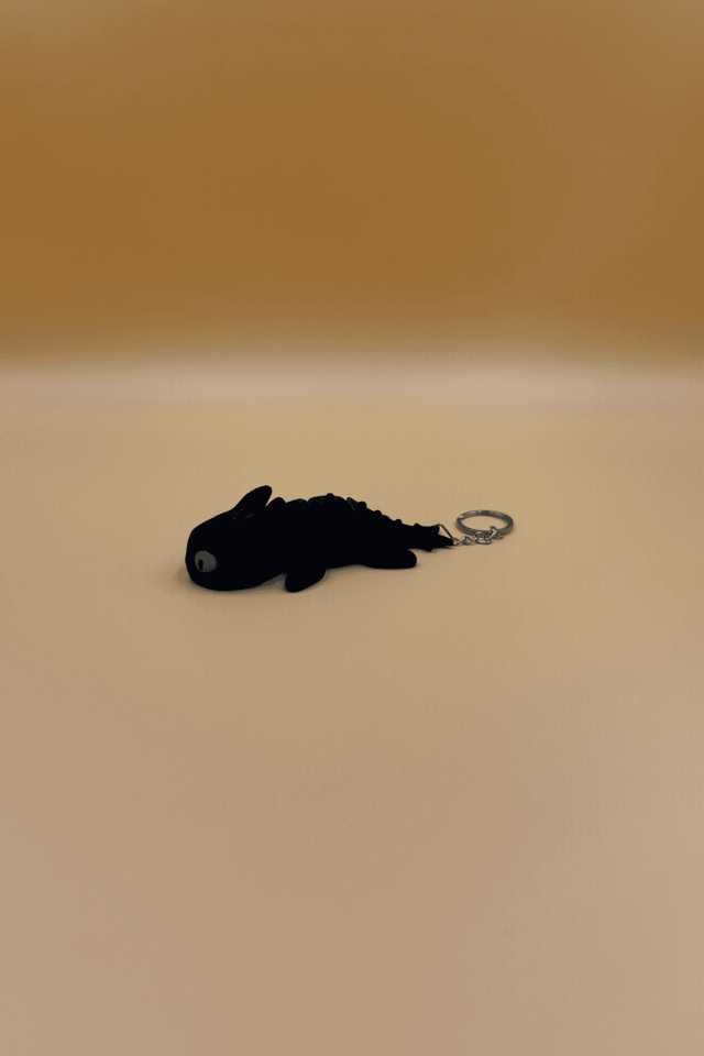 Night Fury Anahtarlık