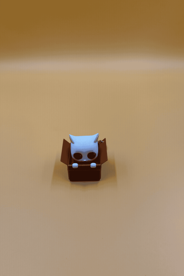 Kittybox Anahtarlık