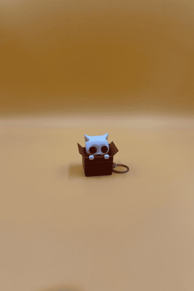 Kittybox Anahtarlık