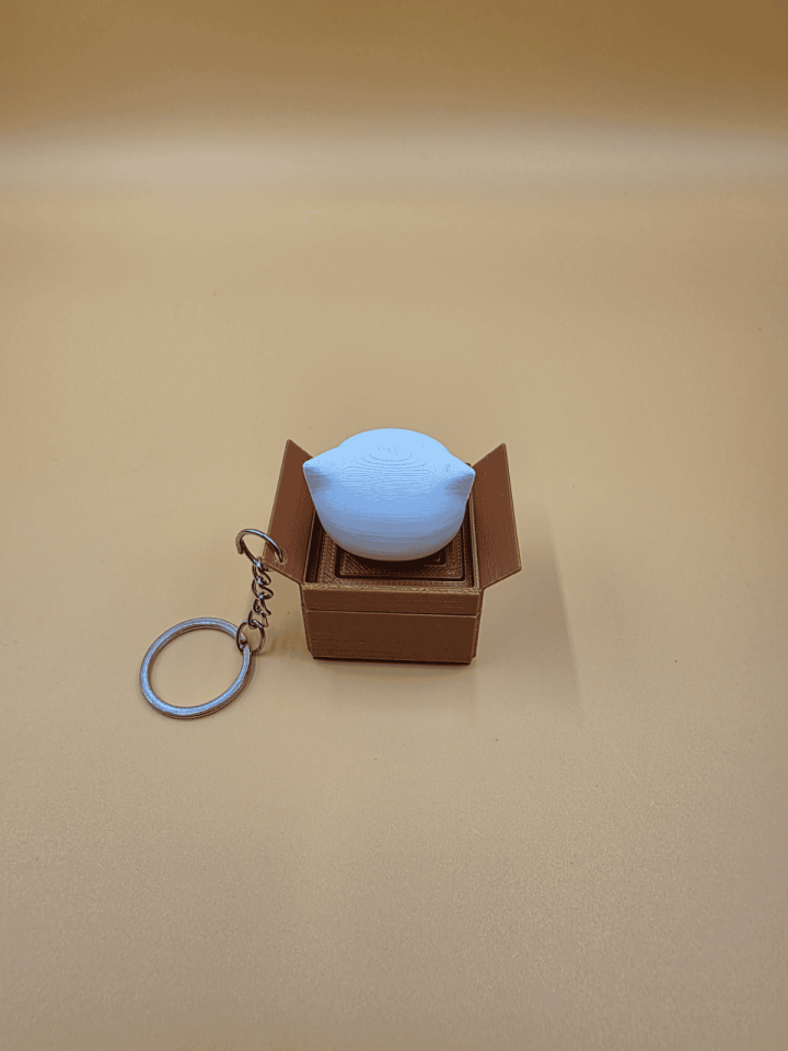 Kittybox Anahtarlık