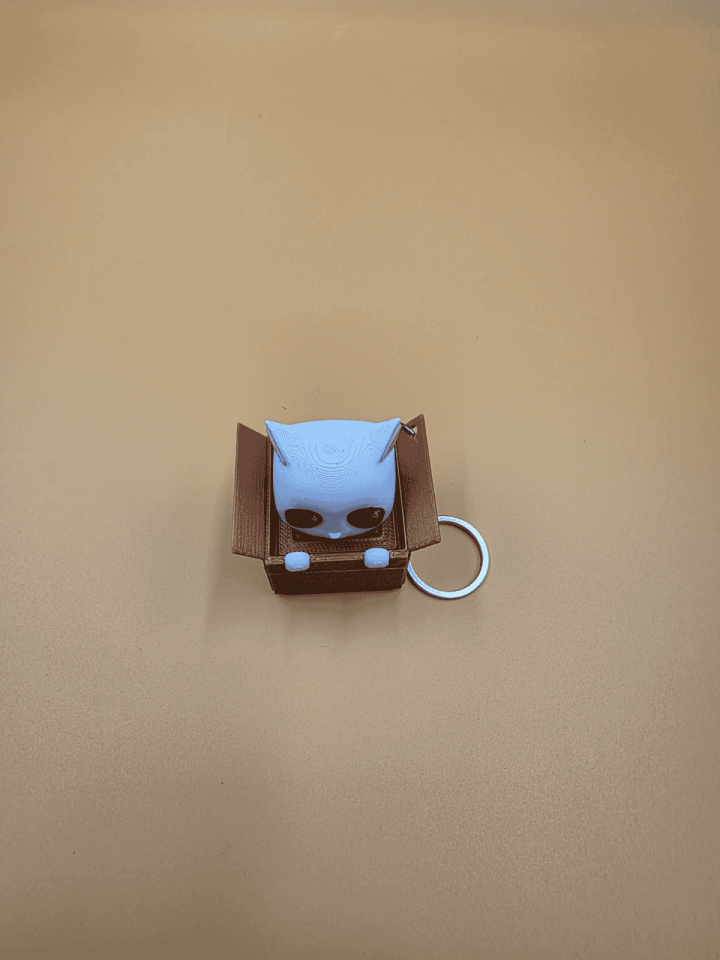 Kittybox Anahtarlık