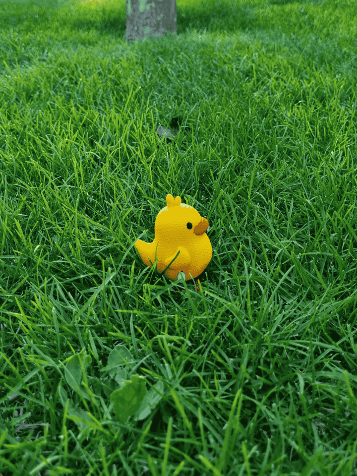 Kurmalı Civciv Oyuncak