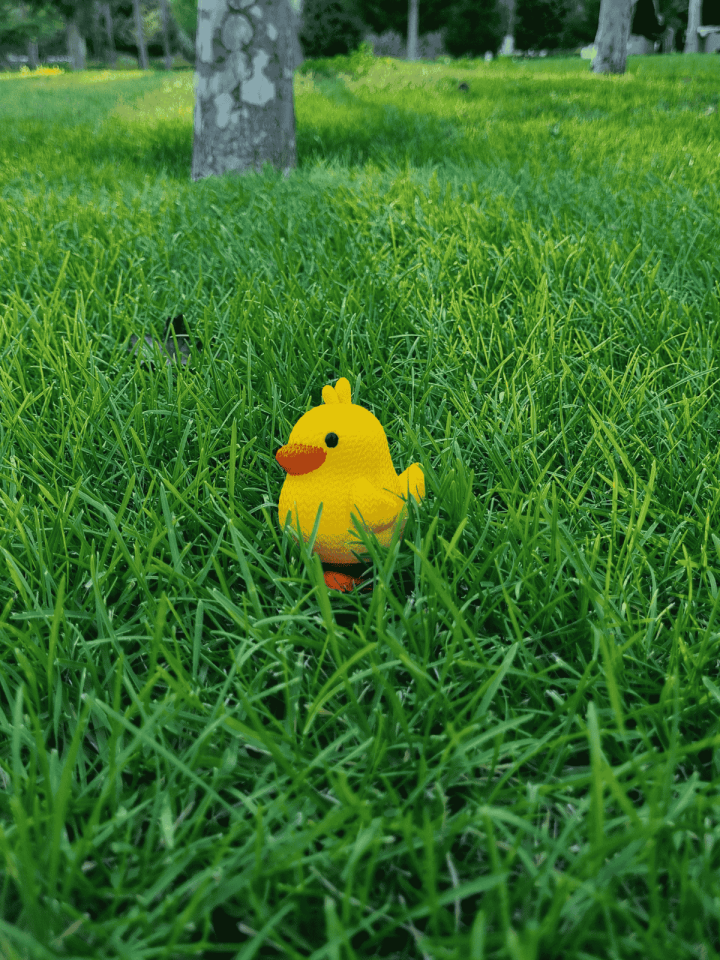 Kurmalı Civciv Oyuncak